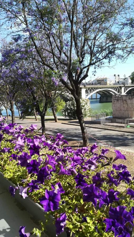 Appartement Anna - Triana *